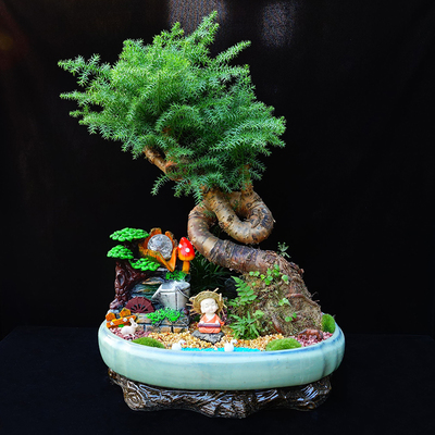 武漢花卉綠植市場(chǎng)概覽 從公司苗木到寫(xiě)字樓租擺的全面解析