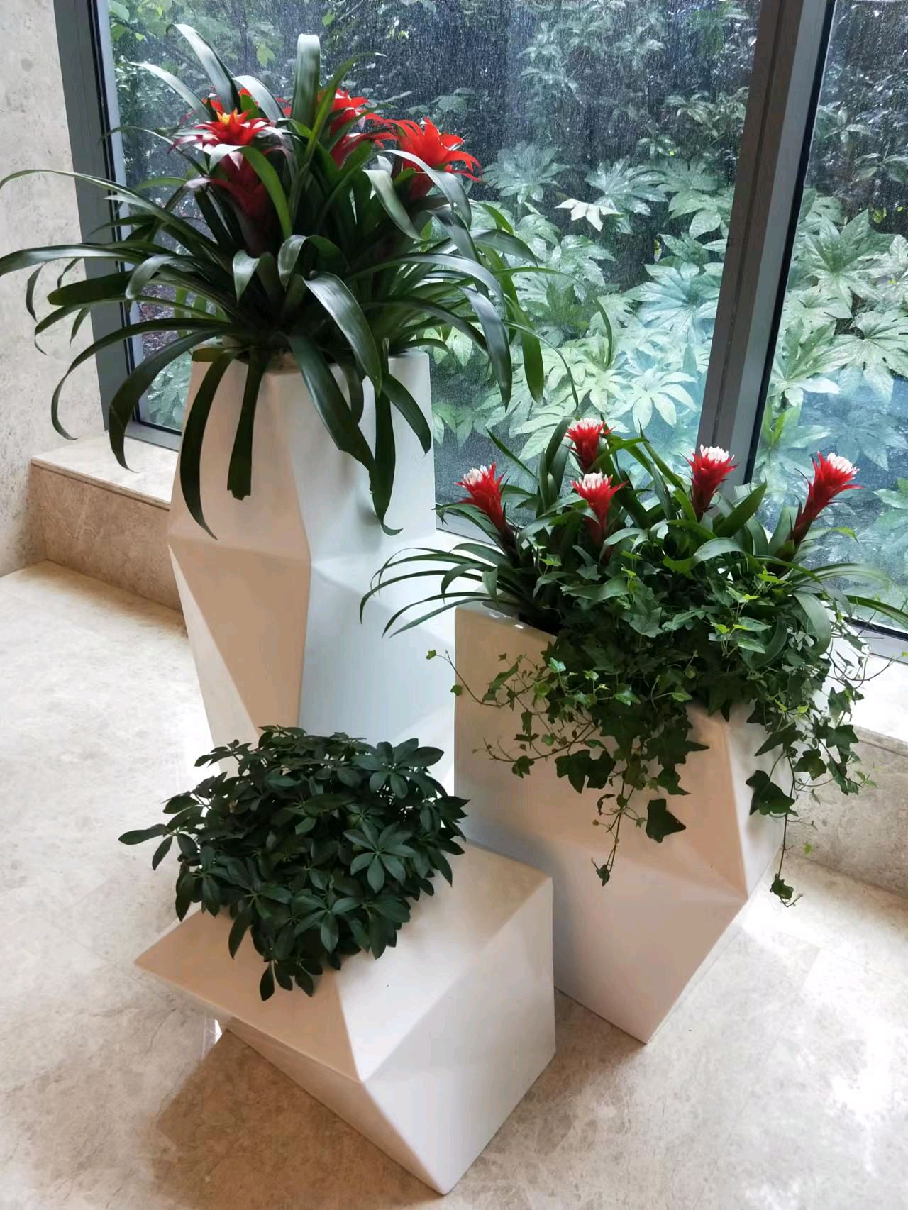 綠色生活，從專業租賃開始 一站式花卉綠植服務，打造詩意空間